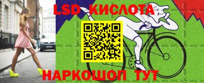 СК Кандалакша