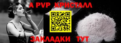 apvp Камышлов