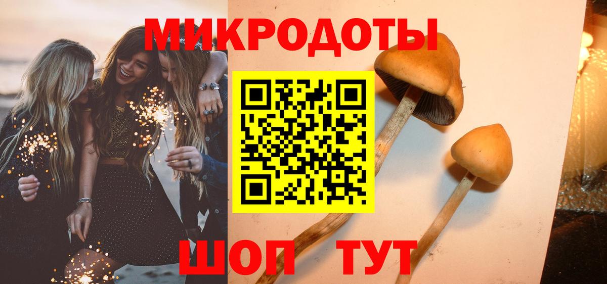 Псилоцибиновые грибы MAGIC MUSHROOMS  Вход с VPN  Лесозаводск 